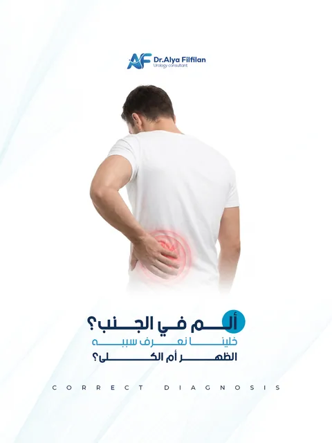 Back Pain or Kidneys